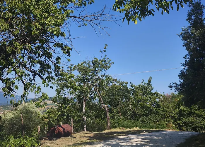 Graziesole Mattone Upstairs E Downstairs Penna San Giovanni